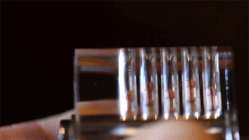 pin tumble lock cross section gif