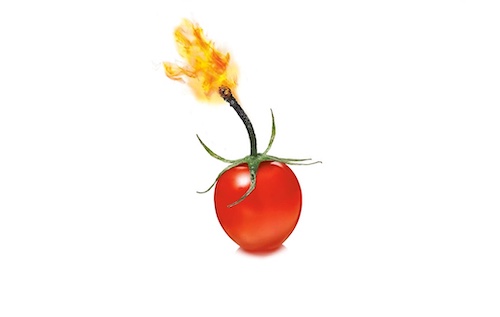 A tomato ablaze with flames, symbolizing the science of metabolism.