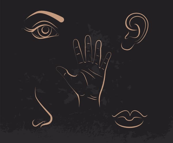 Human five sense illustration.