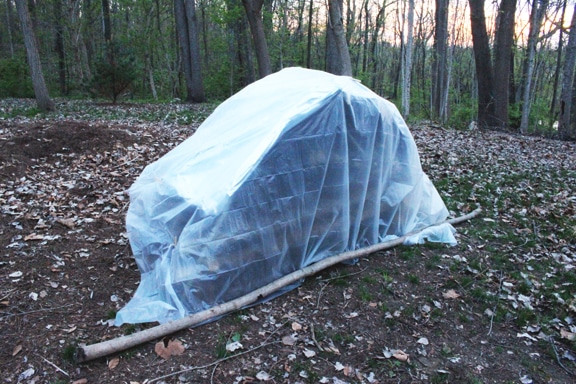 An ultimate survival shelter built in the woods, covered in plastic.