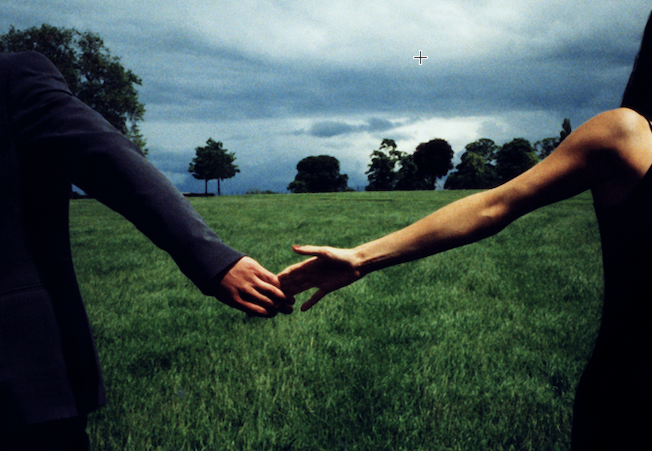 A man and a woman holding hands in a field, trying to avoid falling in love with the wrong person.