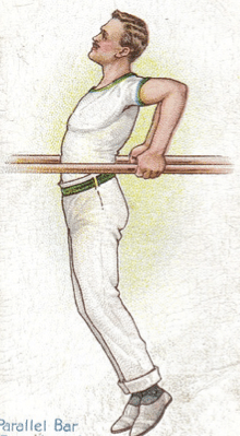 parallebar Illustration of parallel bar dip gymnast.