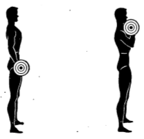 Army physical training strength two Hand Curl.